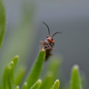 Meet your Posher, Tosha